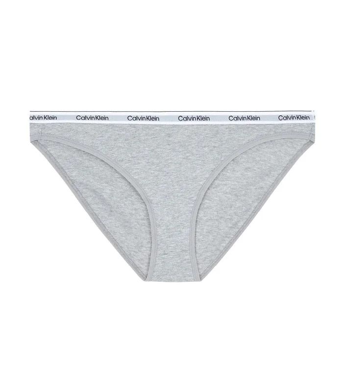 Underwear Bikini Grey